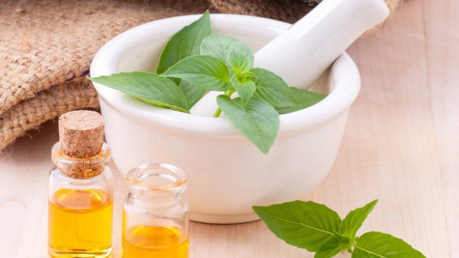 Delegación cubana visita la India para tomar experiencias sobre la Medicina Natural y Tradicional