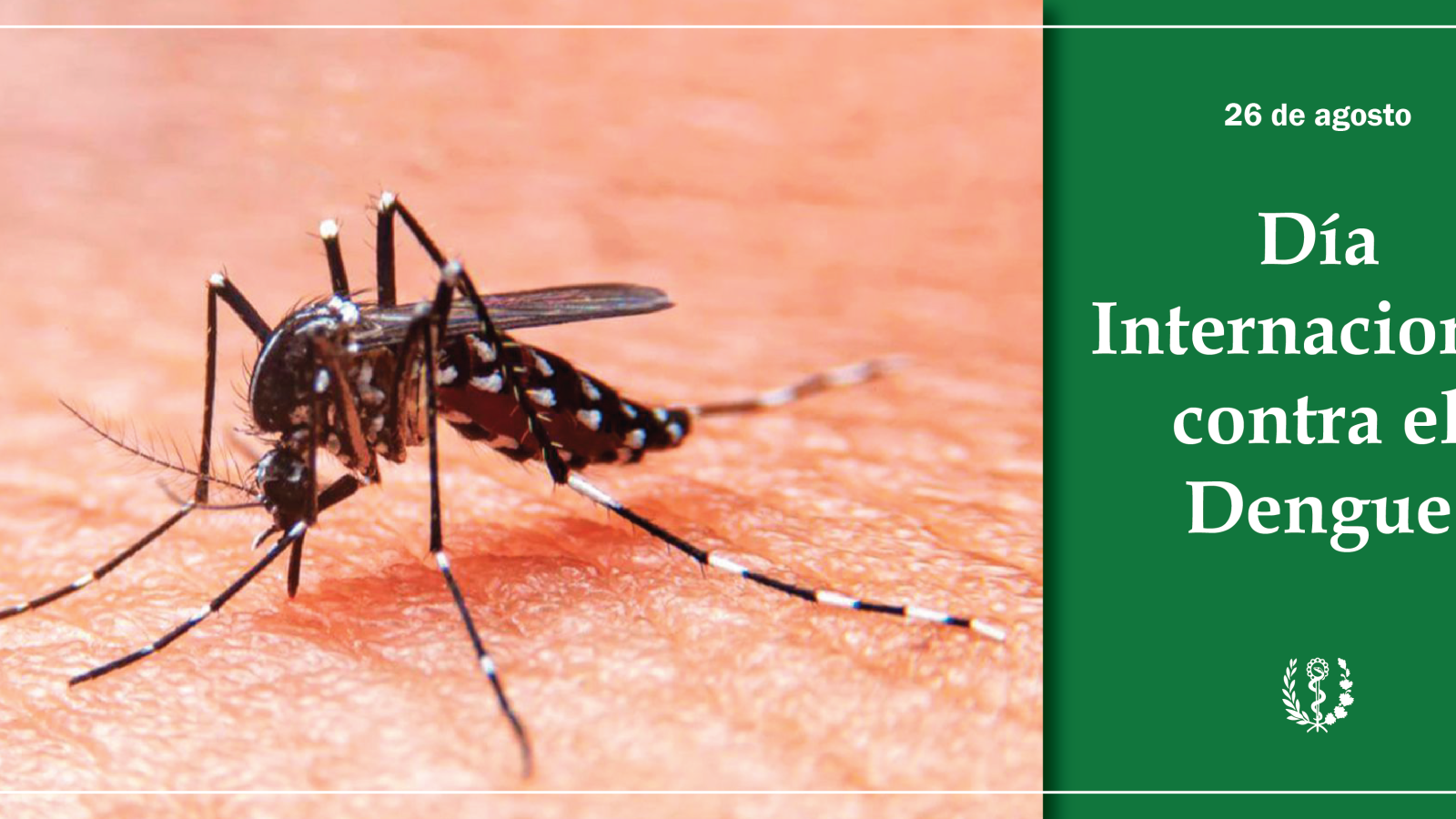 Dengue: una enfermedad de preocupación en medio de la COVID-19