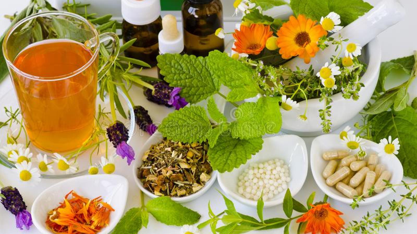 Treinta años de la especialidad de medicina natural y tradicional: ciencia y tradición al servicio de la salud en Cuba