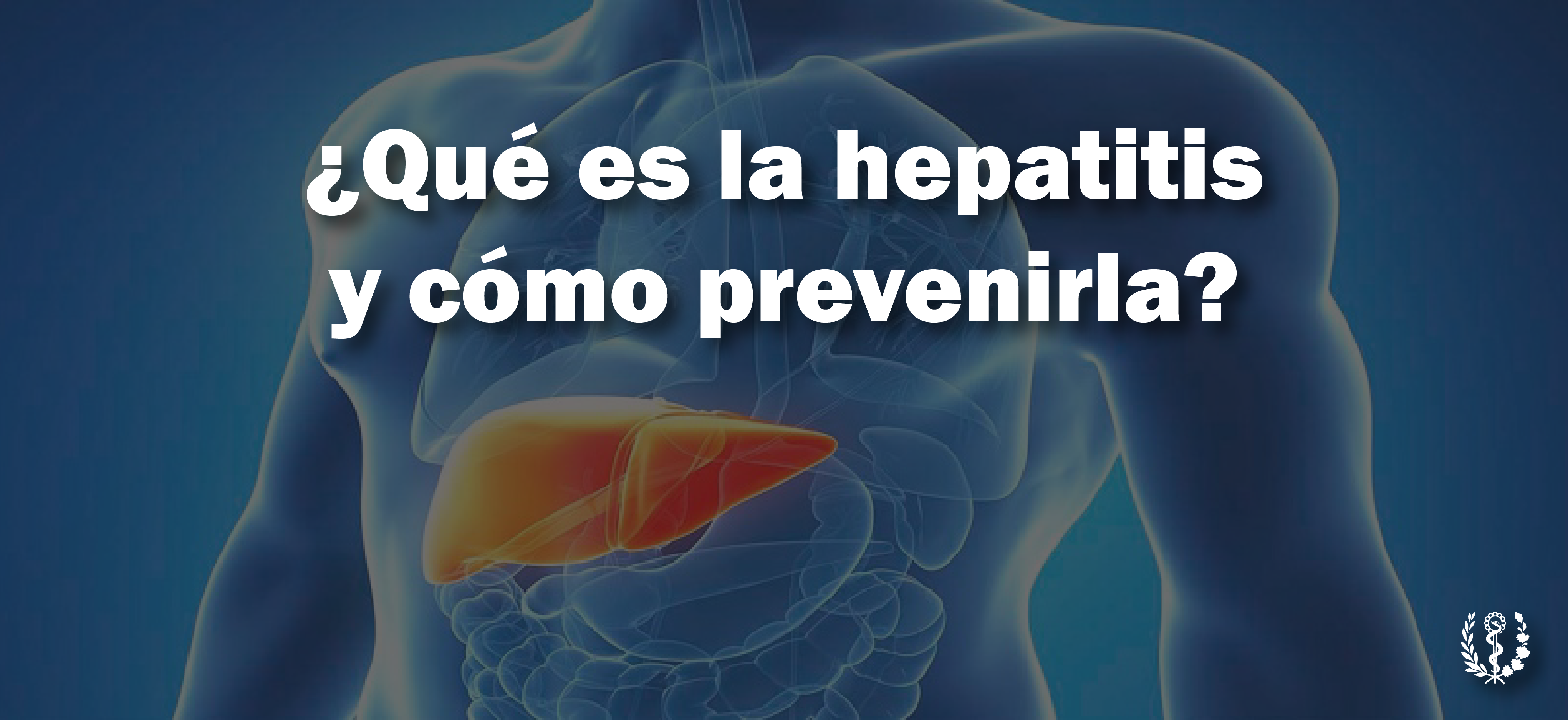 Qué es la hepatitis y cómo prevenirla Sitio oficial de gobierno del Ministerio de Salud