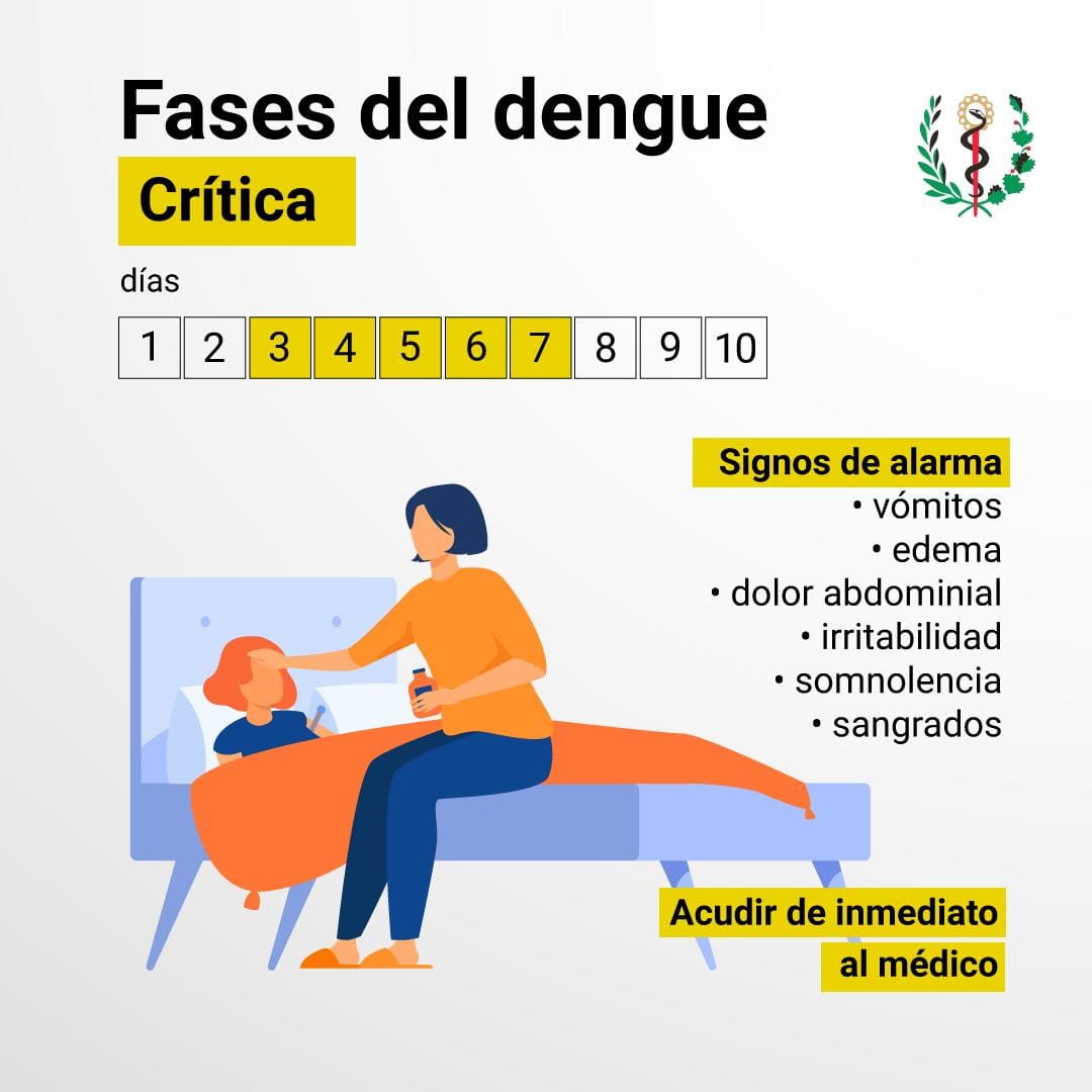 Dengue Identificar Sus Fases Y Signos De Alarma Salva Vidas Sitio Oficial De Gobierno Del